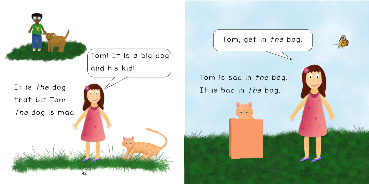 Fun in the Sun - Decodable Story Book